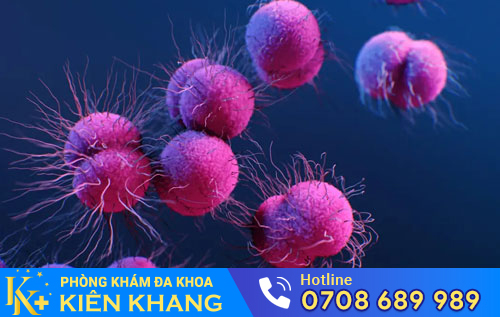 bệnh lậu mãn tính