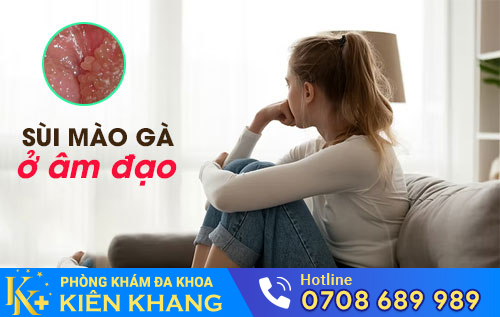Sùi mào gà ở âm đạo